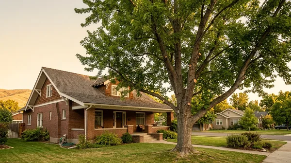 Team Boise Tree Service in Boise